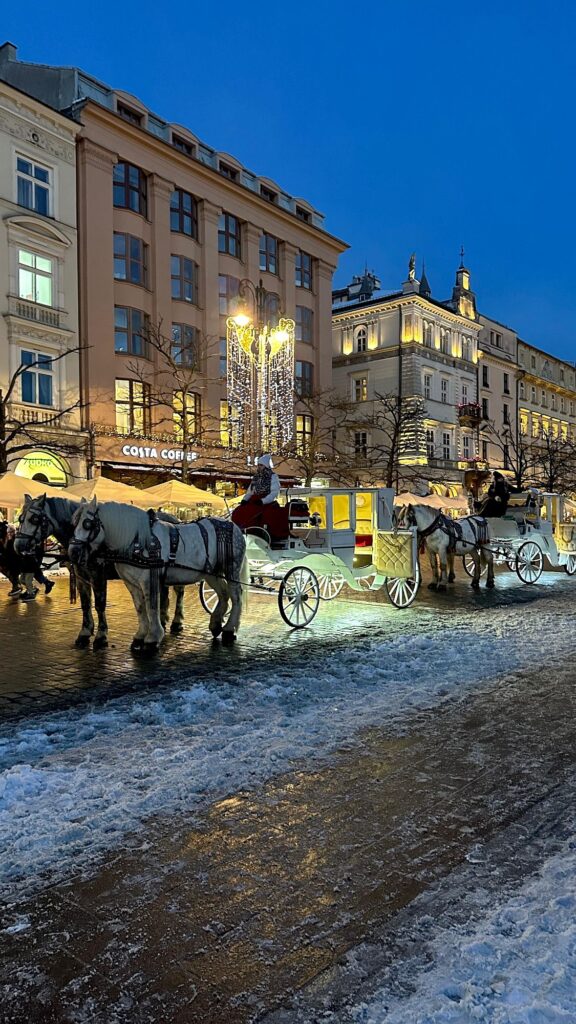 2026-01-06-Jobshadowing_CIS_04